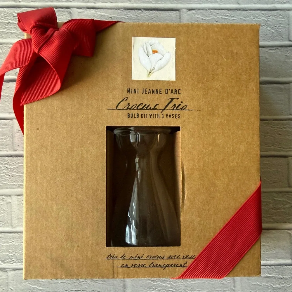 Restoration Hardware Mini Jeanne d'Arc Crocus Trio Bulb Kit 3 Vases 42800108